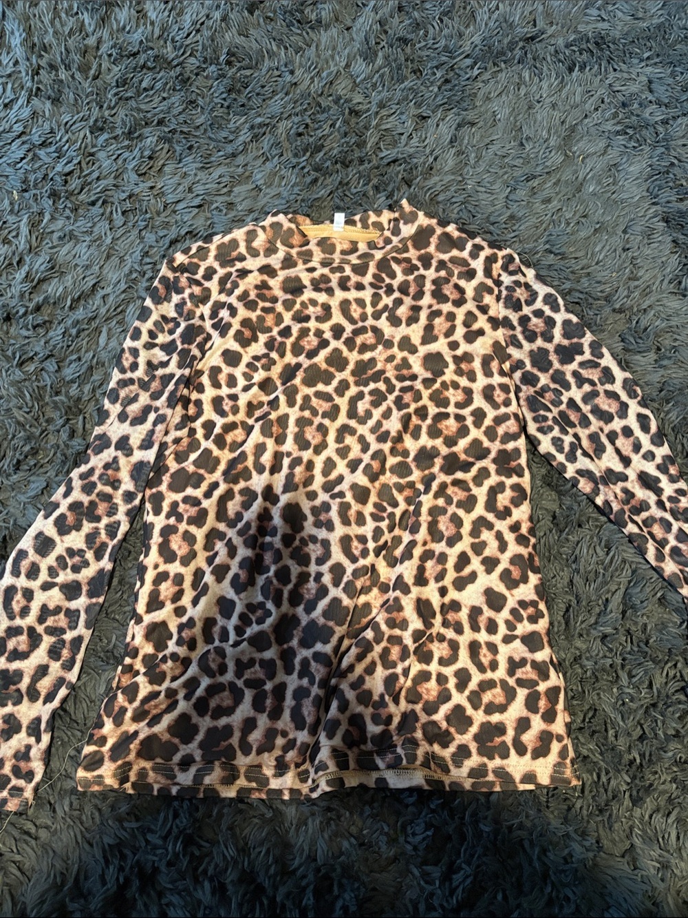 Leopard Print Long Sleeve Top